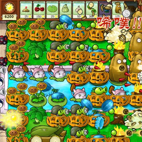 (坚果农场app)坚果加农炮：独特设计引爆美味的创新风潮